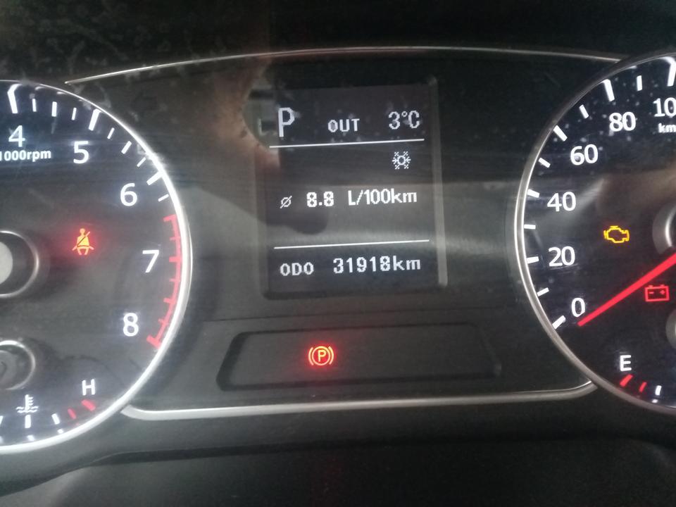 陆风x7-各位大神，请问一下100km上面的雪花标志是什么意思