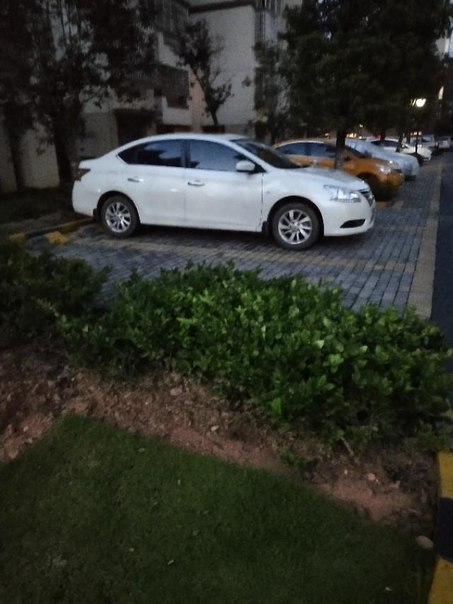 奥迪a4l-这辆车颜色怎么样