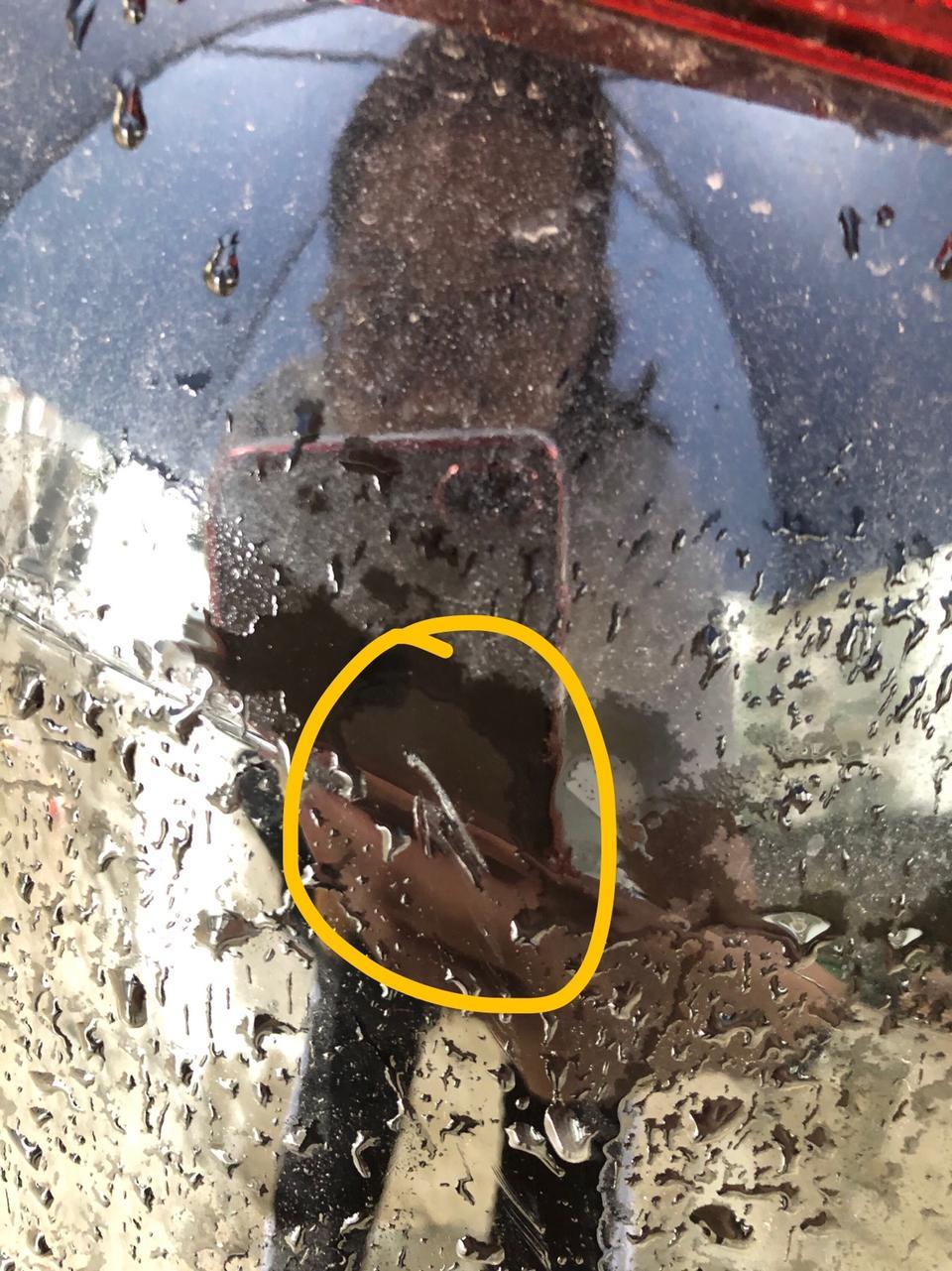 前几天下大雨，倒车不小心撞掉漆，一定要去4s店补漆吗？补漆会不会有色差？会不会看得出？去了一间4s店问，居然说要拆开后面那块板弄，有必要吗？还是新车，雅阁十代。