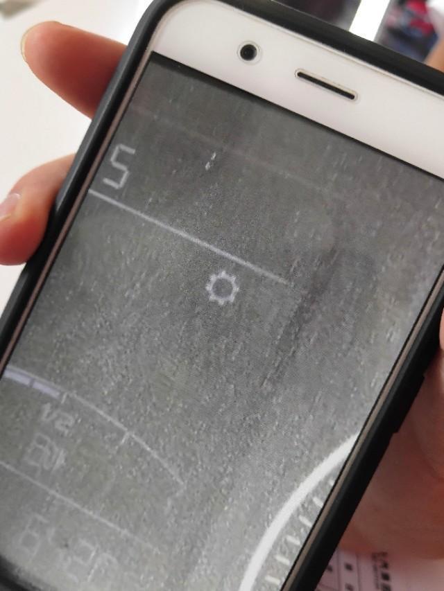 名爵zs-zs仪表盘上有个小齿轮什么意思