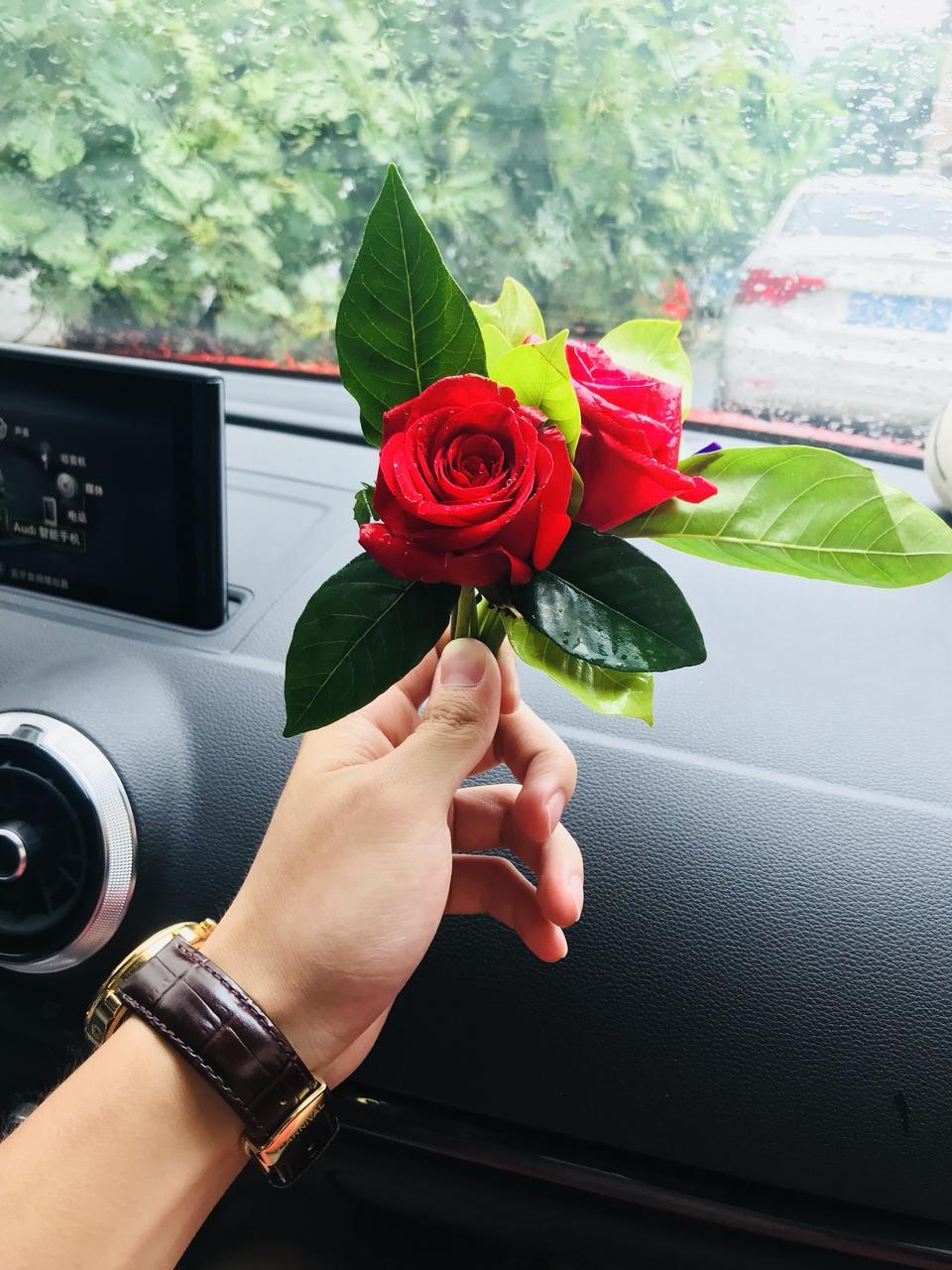 奥迪a3-提车十几天，二十岁的年纪也没开过什么好车，总之a3现在是我最理想的车，基本没什么不满意，总体打个90分吧。