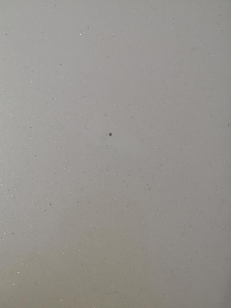rav4荣放-今天无意中才看到，这种被小石子砸漏底漆的坑该如何修补？