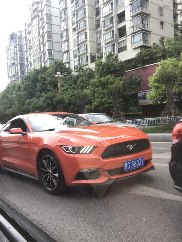 mustang-大家看看这是什么车 
 2018年05月24日10:42:48