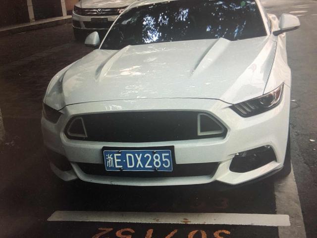 mustang-大家看看这是什么车 
 2018年05月05日14:44:02