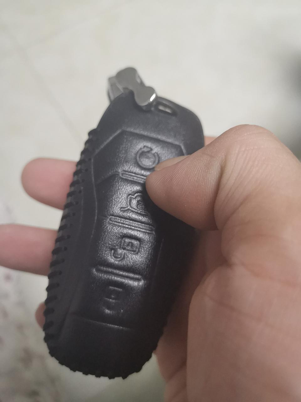 宋pro-自动精英车钥匙启动键能启动车吗？