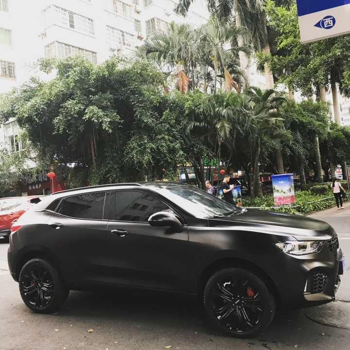 wey vv5-请问vv5最高能跑多块？