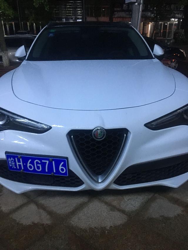 stelvio-大家看看这是什么车 
 2018年05月22日19:24:05
