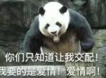 宝马6系-现在还有没有必要买一部4s店15款的新6系哦？