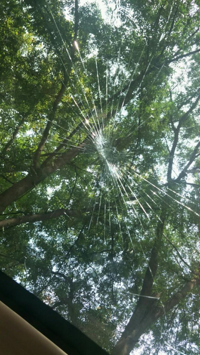 帝豪GS天幕被砸坏了，换个玻璃得多钱呢？