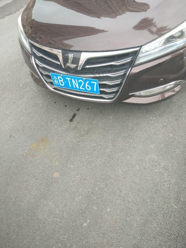 帝豪gs-你喜欢这车头吗？漂亮的吧？