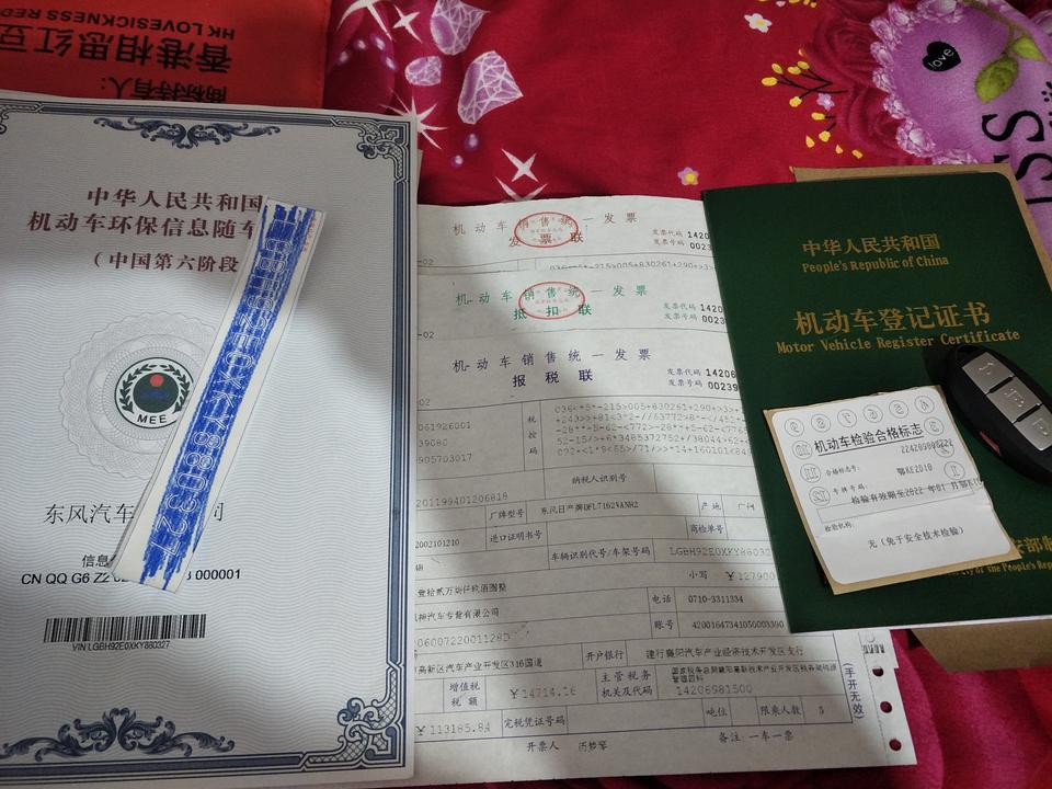 轩逸-买完车就这些，你们的手续单子也是和我一样吗？