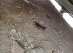 哈弗h6-哈佛h6停了几天，车底下好像是防冻液漏了，谁知道是怎么回事