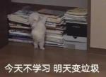 凯美瑞-19，4月新车，现在1万公里，9000公里时开始出现，在低速时减速刹车有明显顿挫(感觉是在降挡，不太懂)，高速时减速没问题，4s店说正常，但是之前从来没有顿挫过，请问各位车友有懂的吗？
题外话:将来车辆还有什么别的问题，4s店推脱责任不作为，推到质保期外，有什么办法？