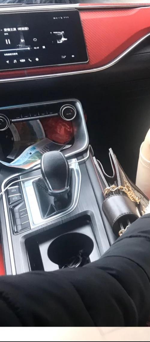缤瑞-有没有大神知道这个是什么车 缤瑞-有没有大神知道这个是什么车