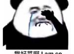 奔驰glc(进口)-请问月薪3万多，存款10万，能买GLC吗？
走贷款买？还是下半年钱够了，再问父母要点，上全款？
本人平时也没啥大的开销，一般也不抽烟不喝酒，因为是做生意，所以需要点门面。
大家怎么看？
