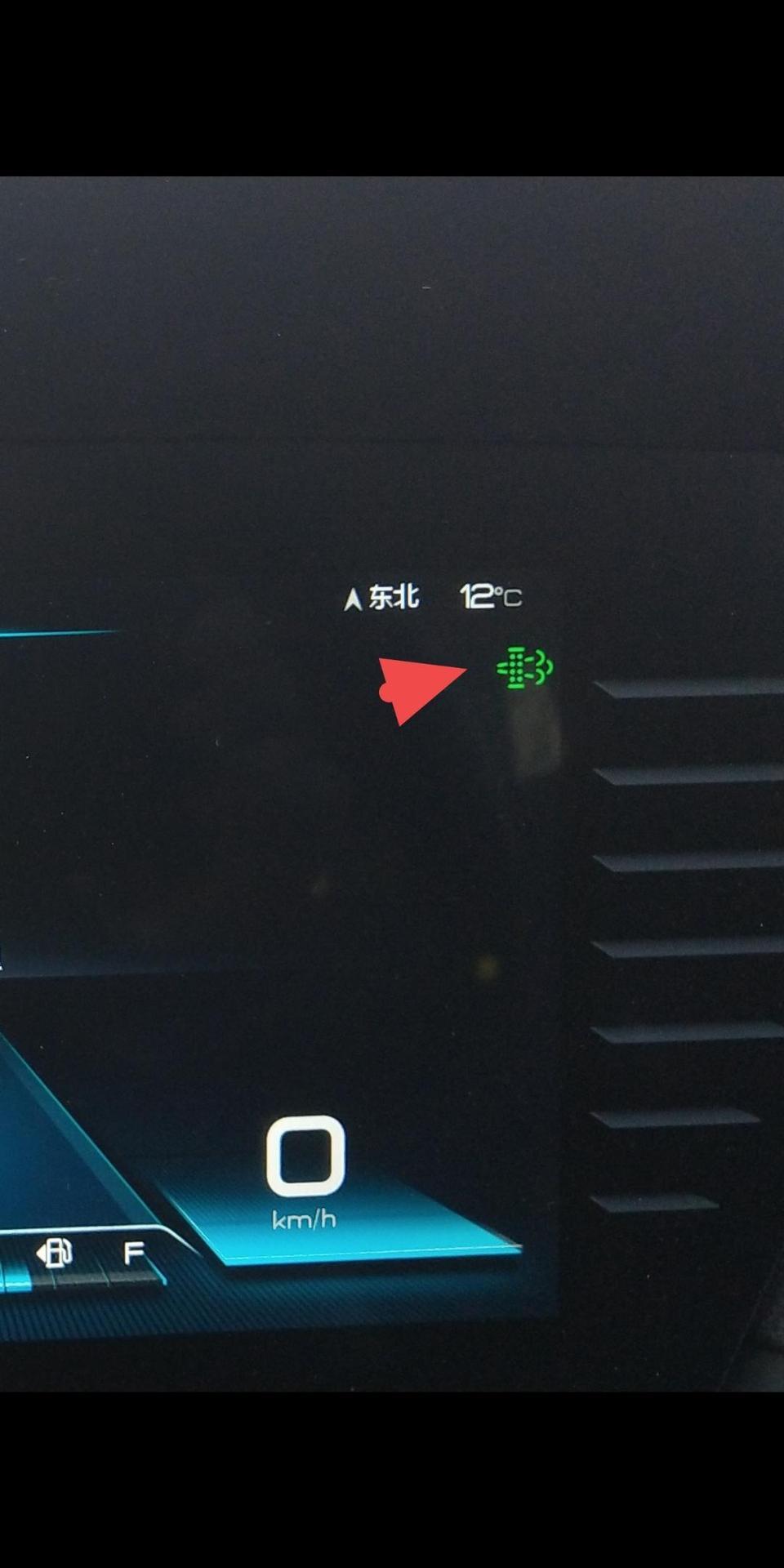 宋pro-这个绿图标是什么?