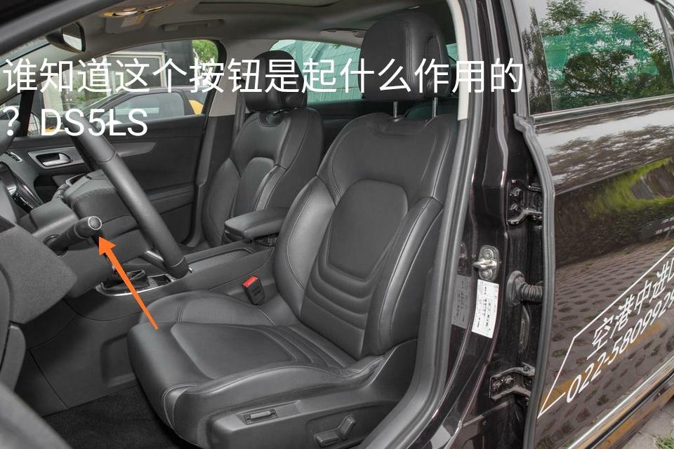 ds 5ls-DS5LS谁知道这个按键起什么作用 ds 5ls-DS5LS谁知道这个按键起什么作用