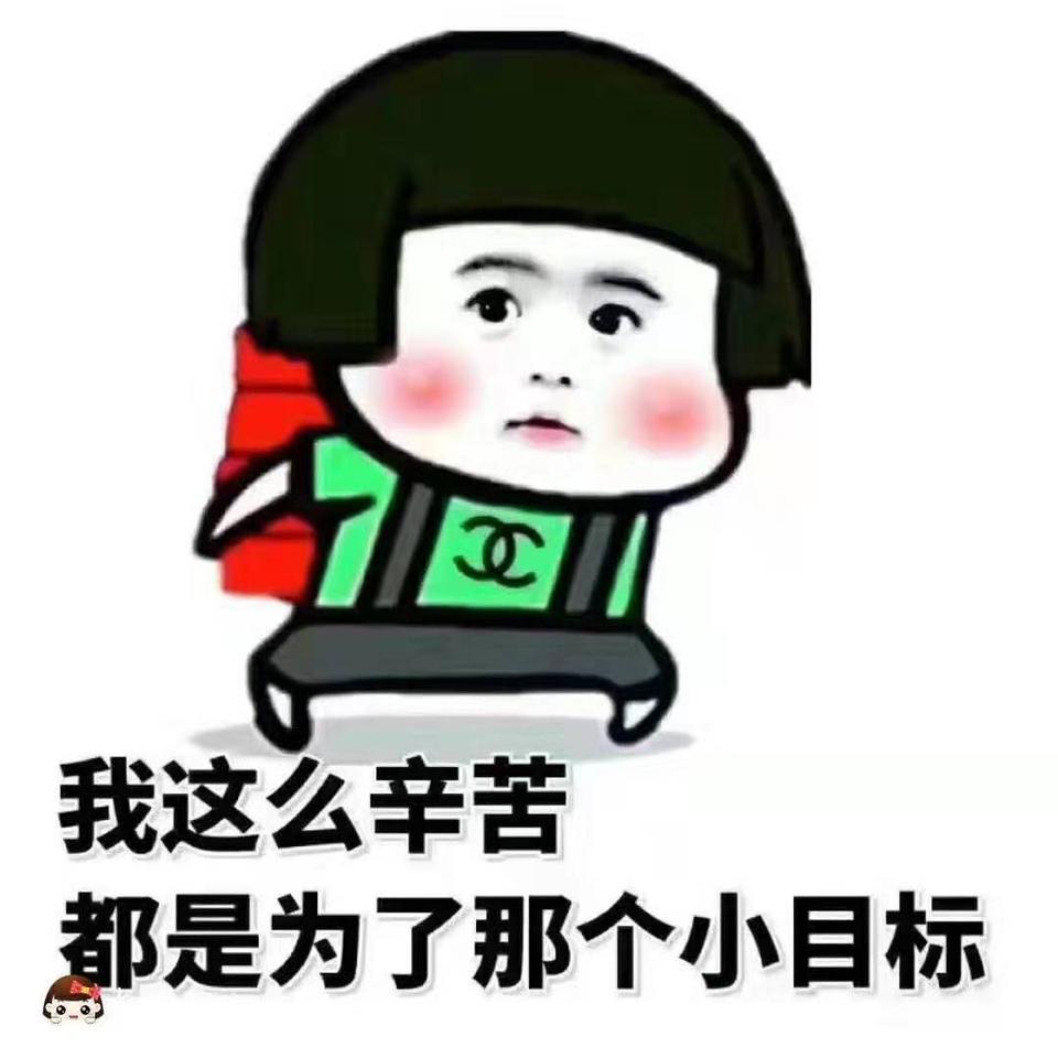 宝马5系-525li汽油版和530混动版，怎么选择
