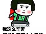 宝马5系-525li汽油版和530混动版，怎么选择