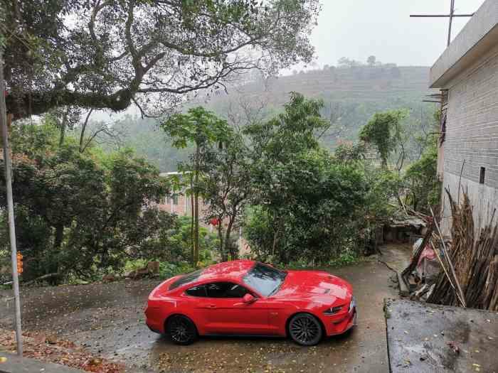 mustang-购车总价 | 裸车指导价格36万元，最后全部落地价格41万元，买了装饰包
同级对比 | 看了大众科迈罗也是款经典跑车，但是在国内保有量远远不如野马，再加上福特的销售跟我也很熟，就直接购买了福特野马。
故障吐槽 | 目前暂时还没有硬说不满意的，就是空间比较小，还好这款车只是拿来改装玩玩而已，拿来家用很不合适。
驾驶体验 | 操控也是蛮好的，跟这款车使用的轮胎有很大关系，买跑车最主要的就是操控好。
空间 | 空间无所谓，买这款车又不是奔着空间去的，只能说能坐两个人就行。

