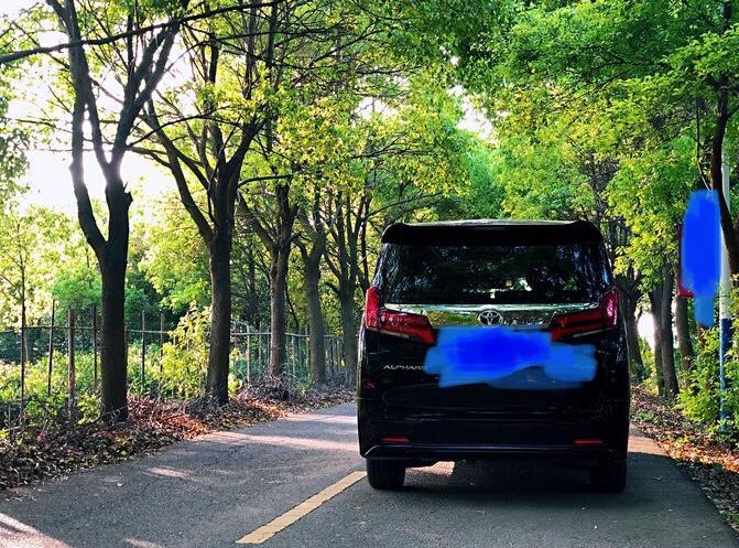 购车总价 | 今年年后买的车，指导价85.6万，提车包含加价加店内装潢加手续费，最终103.3万落地。
同级对比 | 这个价位我还看了奔驰S级，S350，不到100万的S级，配置，外观的轮毂等都不及埃尔法，后排功能非常少，不如埃尔法的航空座椅。如果要选s级，我会选s450或迈巴赫s，100万出头坐第二排的车，我选埃尔法。
故障吐槽 | 故障倒算不上，实话说，埃尔法高速行驶感受不如轿车，感觉底盘有更多的晃动，坐在后排，耳边的噪音也较多，底盘和隔音比同样百万级的车要差。
空间 | 空间方面第二排非常舒服，腿部