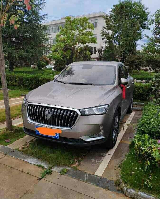 购车总价 | 裸车价19.98万，落地价22.2万。
同级对比 | 一直就看好宝沃这个品牌，也喜欢该车系的外观，当初看了宝沃BX5和BX6，BX6价格贵一点，但空间和动力方面更加好，后来选择了贵一点的BX6。
故障吐槽 | 要说不满意,唯一-的可能就算是油耗了吧,但毕竟2.0T,车身将近1.7吨,过了磨合期应该会低一点。
空间 | 空间够大很宽敞,后排可以坐四个人没问题妥妥的,后备箱呢我觉得够用,中规中矩吧。
颜值 | 我个人觉得很喜欢这种溜背式的设计,仁者见仁智者见智吧。
油耗 | 油耗方面有点偏高，平