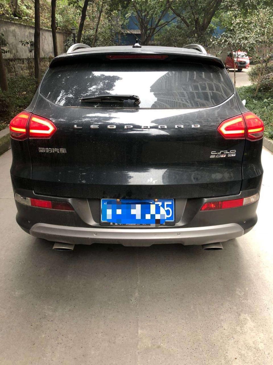 16年买的，猎豹cs10，自动挡顶配，优惠了3000,14.38万，送的东西不少，基本车上的小物件装饰都给配齐了，当时一心想买个SUV，国产的也看，合资的也看，哈弗H6、xrv，还有传奇的GS4。H6名气最大，成名最早，不过感觉满大街都是，我喜欢比较另类的那一种，XRV是新出没几年的，空间太小，不过真是精致，要是空间大的也考虑，crv价位超预算。最终选定了2款车，一款是传奇的GS4，一款就是猎豹Cs10.GS4知名度在国产车里面仅次于H6，但是它的自动挡选择性更好，猎豹CS10见过的朋友对它的第一印象一定