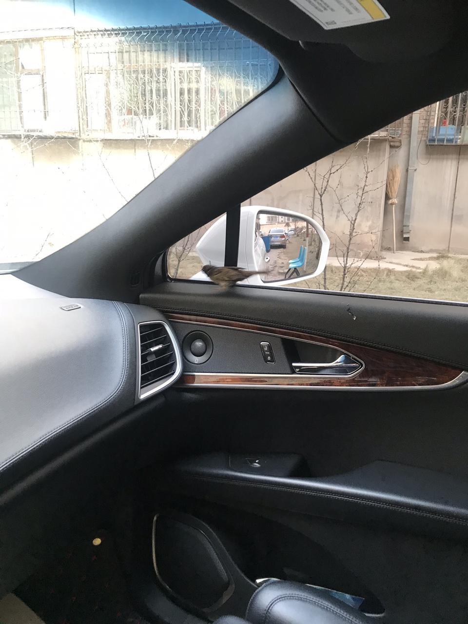 林肯mkx-中大型SUV,动力性最满意。27T双涡轮增压发动机，符合林肯中大型SUV的身份。平常驾驶D档就能满足，要想急速超车挂S挡，深踩油门，真有驾驶跑车的感觉。
外观流线造型超级赞！
整个高科技的配置高大上！
车身强大的雷达系统展现United States of America标志！
