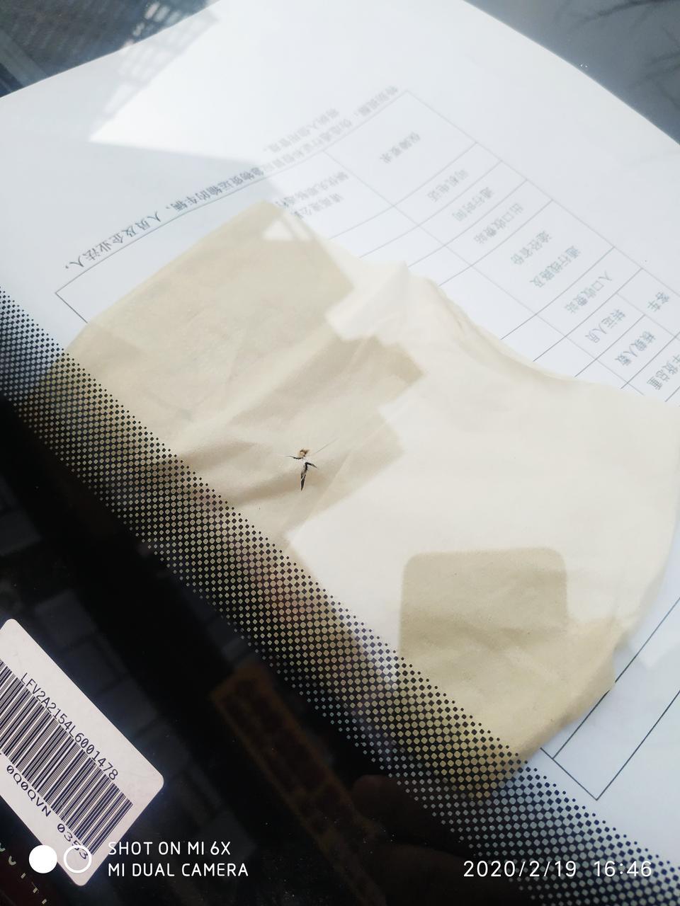宝来-请教各位老司机，被小石子砸了个五星裂纹，要不要换前风挡玻璃，还是自己在网上买个修复液，修复一下。以后玻璃会不会怕冷怕热啊。安全是不是降低了。谢谢了