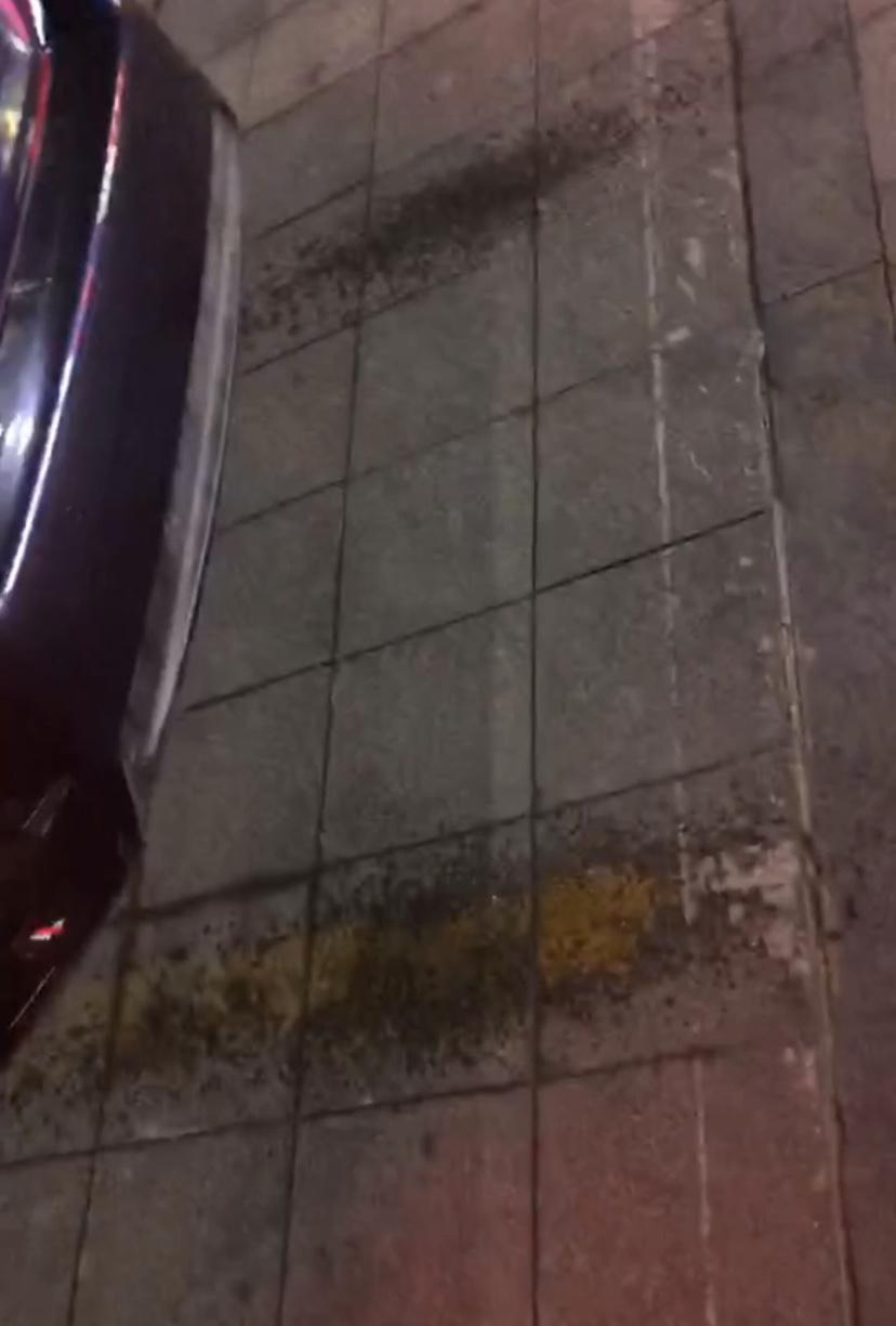 思域-车底老是有水痕，有人知道怎么回事吗？求教