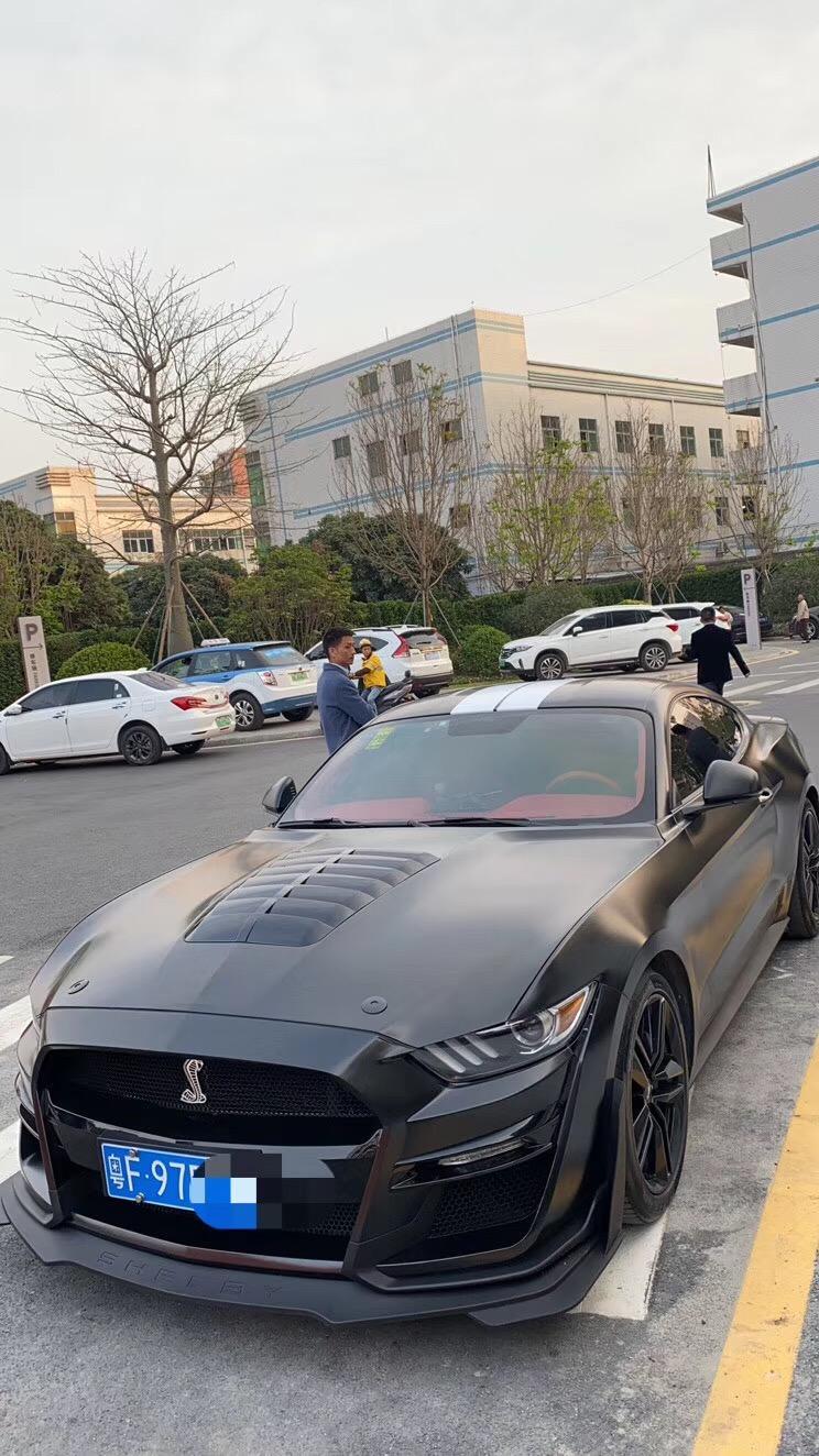 mustang-平行进口野马，贷款4 5年，能带嘛？