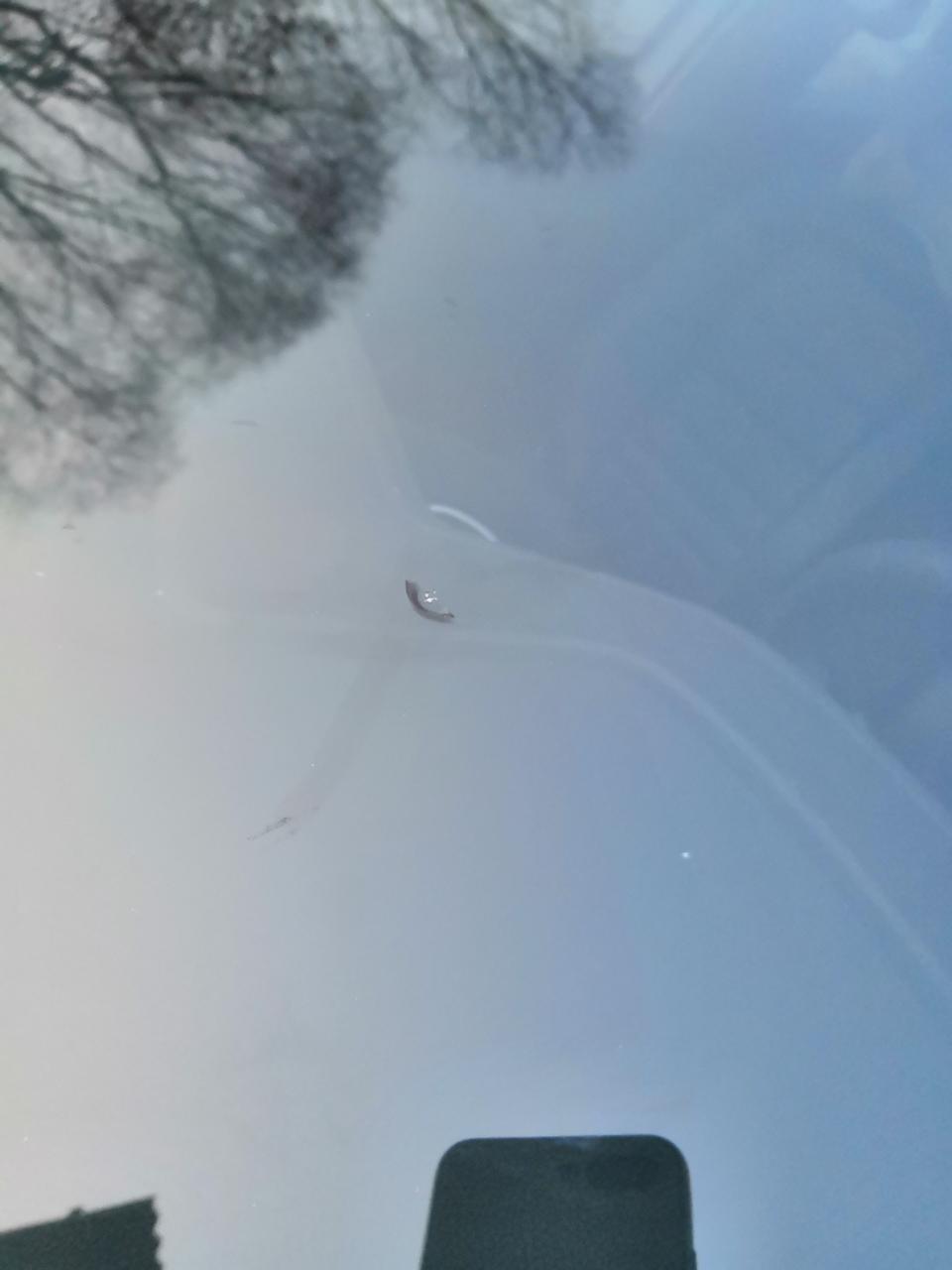 速腾-如图，高速上好像被小石子溅到了，前挡风玻璃那块，问一下老手问题大不大，如何修复？新车第一次上高速有点倒霉啊