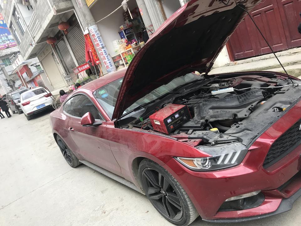 mustang-前天开车去了趟超市 出来打不着火，然后叫别人过来达电启动的，然后昨天又打不着火了，就让村里的修车师傅帮忙充了电 到现在车子还是没电的状态，是不是电瓶坏掉了，如需更换电瓶  要多少费用！