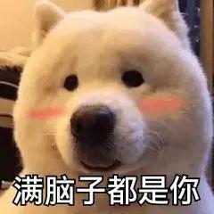 荣威rx5 max-看销量挺好准备入手，之前看见有车友反应变速箱异响，问一下车友们你们呢有没有过。