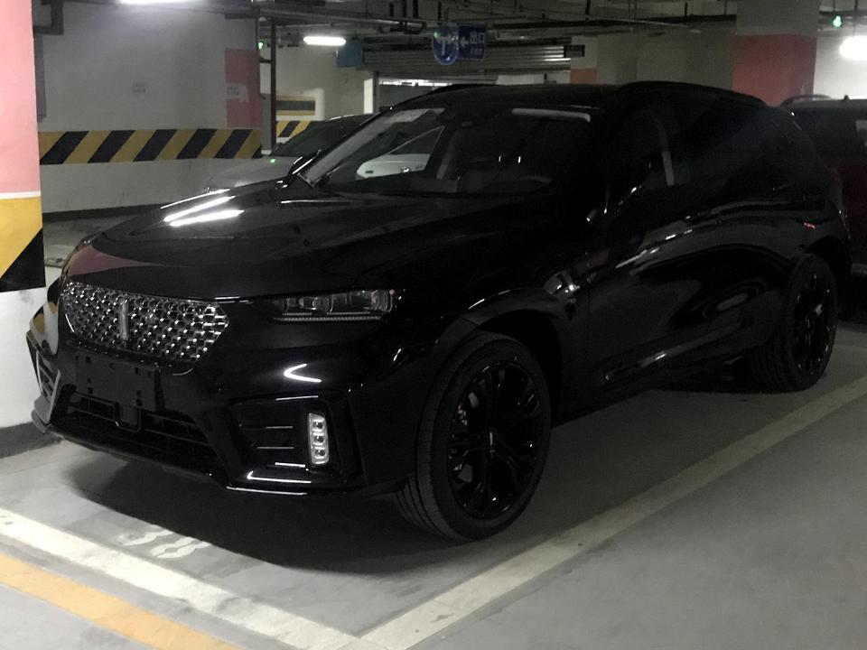 wey vv7-我的是2020款vv7顶配，目前3000多公里，这里遇到两个后门的音响共震，有遇到过的兄弟吗，怎么解决的，谢谢了！