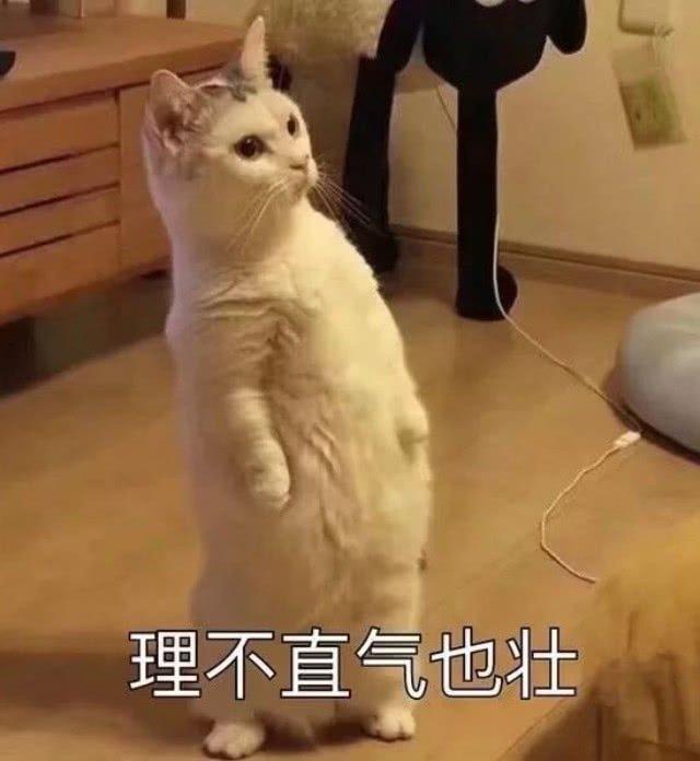 听说今年的改款福克斯全系4缸，那到时候现款的3缸stline会大幅降价吗？