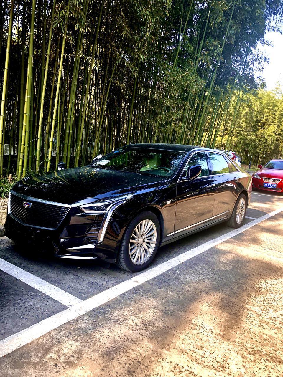 5天内提车
纠结是选亚洲龙还是ct6