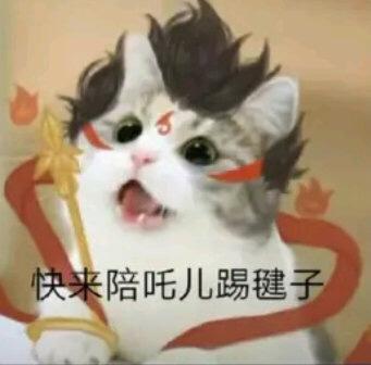 三明地区宝来2019自动1.5精英落地多少钱