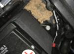 我的19款宝来，发动机舱进老鼠了，搬了一大堆东西看着要做窝了，有什么好办法驱鼠