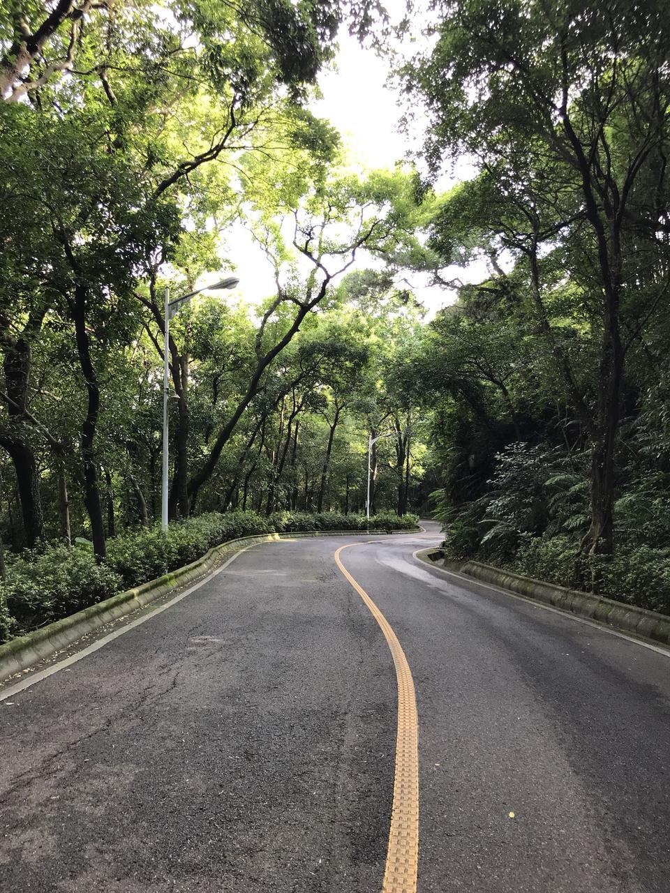 2018款朗逸plus1.5L，在长达5公里的下波路挂什么档位？长时间刹车发热怕失灵，除了D档都没有选择了。