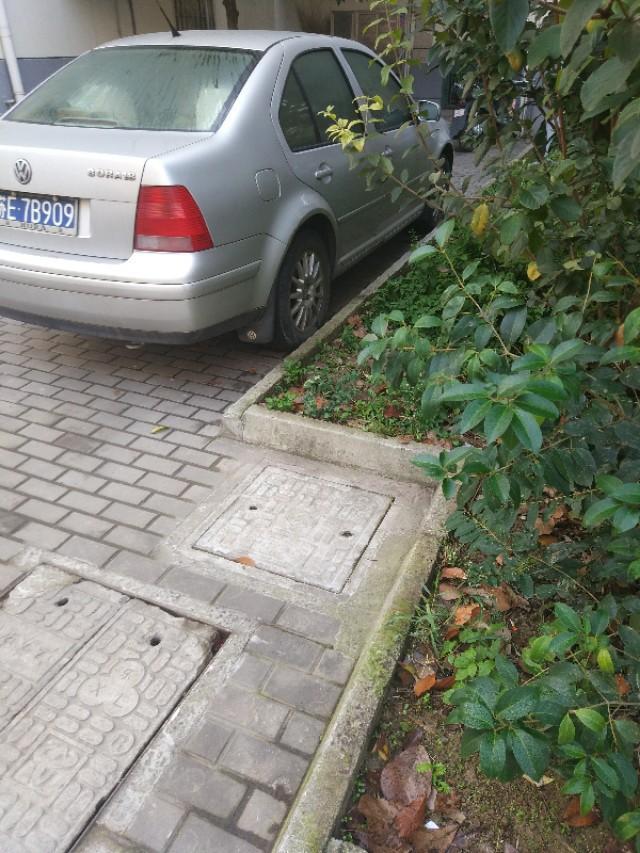 宝来-这款车。咋样。比新款省油吗