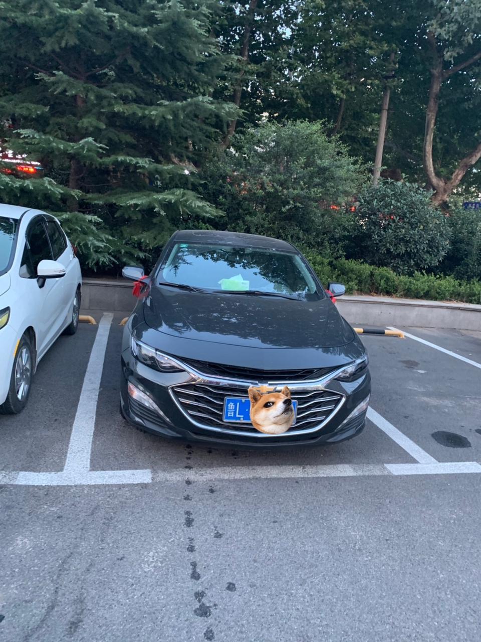车友们大家好，本人七月份提车，迈锐宝xl 1.3t，现在刚跑了2800+公里，4s店客服打电话让我回去做首保，可现在机油寿命显示75%，我爸说五千公里或者半年去做首保才对，想问一下大家什么时候去合适？