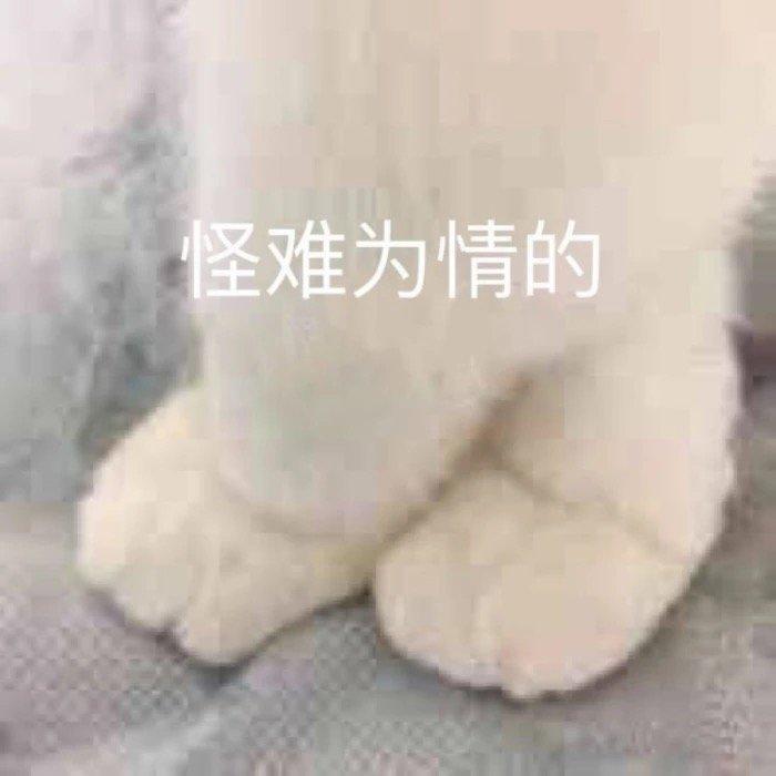 菲斯塔-有没有杭州提车的朋友
想问一下杭州地区大概能优惠多少