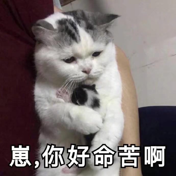 迈锐宝xl-想问一下买过的车主们？有买550最低配的吗，看了一下配置还算够用，多余的不要也可以。这个车落地能控制在17万以内吗？卤素灯改装成led的会影响质保吗，年审吗？