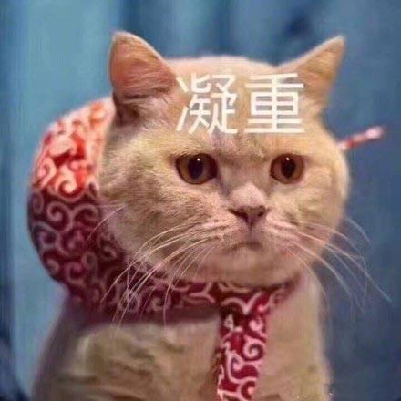 迈锐宝xl-汽车到底是贴膜好还是不贴好