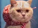迈锐宝xl-汽车到底是贴膜好还是不贴好