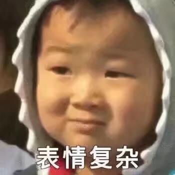 菲斯塔-智尊版 最低首付在加上杂七杂八的还有加上保险  车拿到手大概要花多少钱