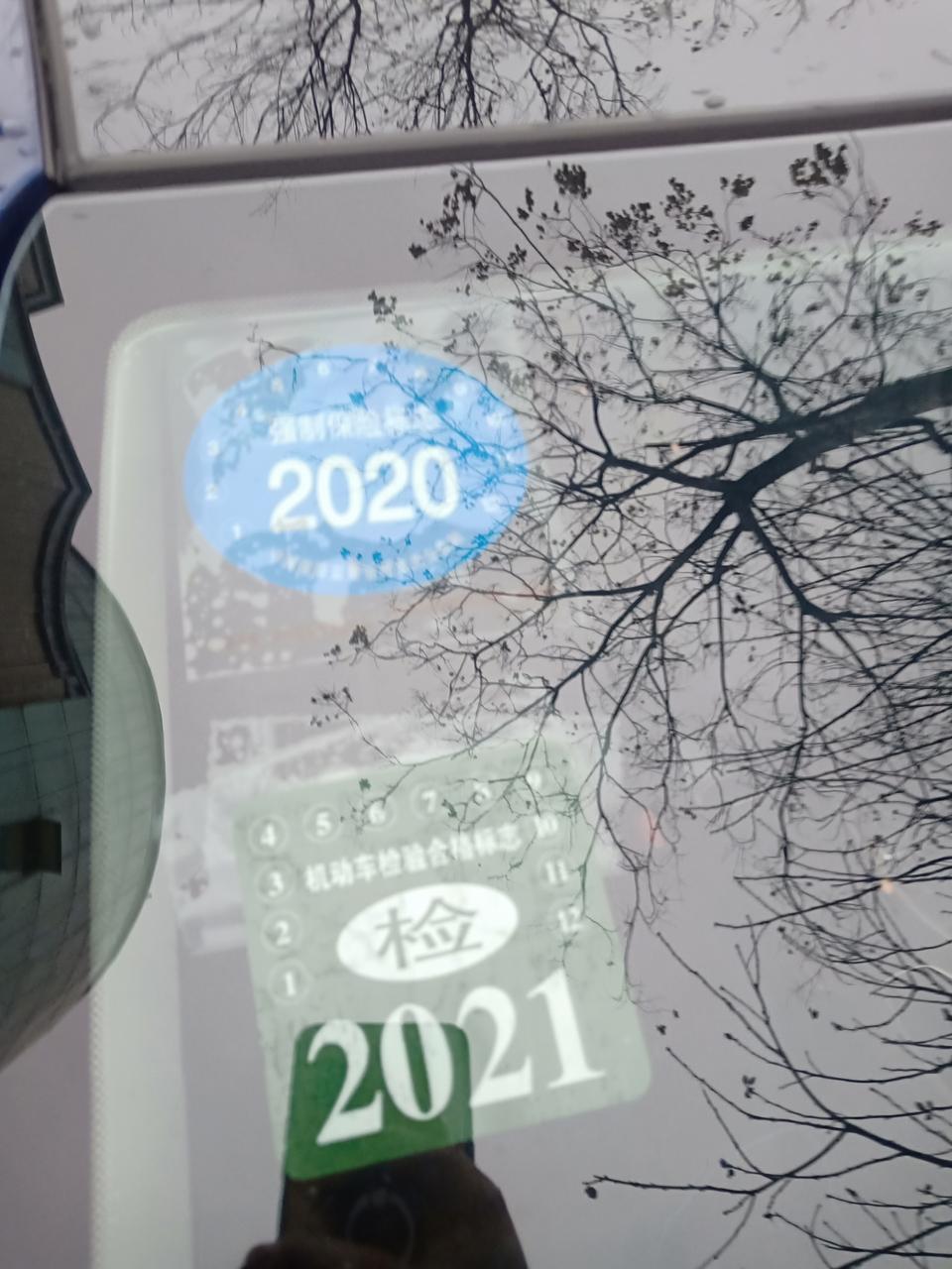 菲斯塔-新车就一个强制险标！和一个年检标吗？