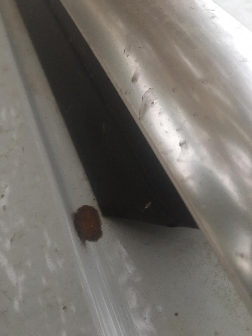 探岳-千万别把车停树下面。这就是最好的回报。 这是掉了一个虫卵  现在也不知道是车漆坏了还是虫卵粘连在上面。反正我是弄不掉了。有大神推荐什么产品试试。