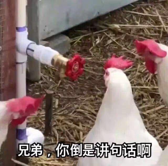 菲斯塔顶配   全弄下来  一共大概多少钱